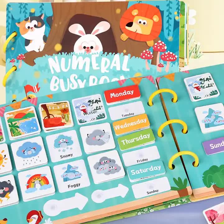 NNEDSZ Enlightenment Busy Book Set - Educational Preschool Activity Books for Learning and Fun (2-piece set)
